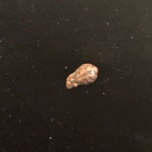 Oak Leaf Cluster, Bronze (Miniature, 7/32")